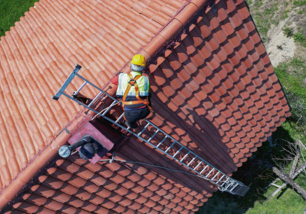 Best Roof Coating and Sealing  in Hooks, TX